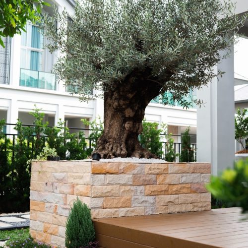 LINE ALBUM TheGardenTree 250708 28